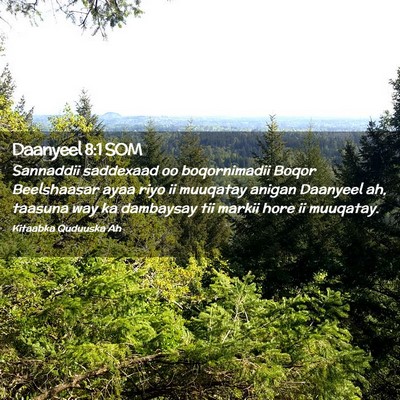 Picture 02 - Daanyeel 8:1 SOM - Sannaddii saddexaad oo boqornimadii Boqor - Bible Verse Picture