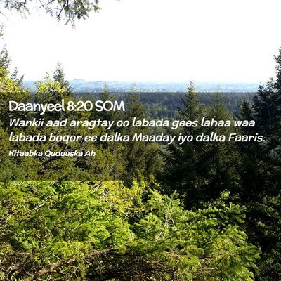 Picture 02 - Daanyeel 8:20 SOM - Wankii aad aragtay oo labada gees lahaa waa - Bible Verse Picture