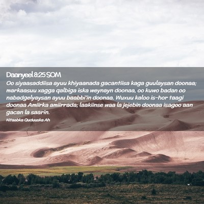 Picture 02 - Daanyeel 8:25 SOM - Oo siyaasaddiisa ayuu khiyaanada gacantiisa kaga - Bible Verse Picture