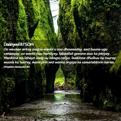 Picture 02 - Daanyeel 8:7 SOM - Oo waxaan arkay isagoo wankii u soo dhowaaday, - Bible Verse Picture