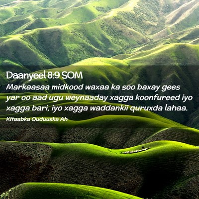 Picture 02 - Daanyeel 8:9 SOM - Markaasaa midkood waxaa ka soo baxay gees yar oo - Bible Verse Picture