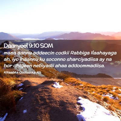 Picture 02 - Daanyeel 9:10 SOM - mana aannu addeecin codkii Rabbiga Ilaahayaga ah, - Bible Verse Picture