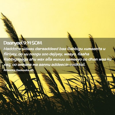 Picture 02 - Daanyeel 9:14 SOM - Haddaba sidaas daraaddeed baa Rabbigu xumaanta u - Bible Verse Picture