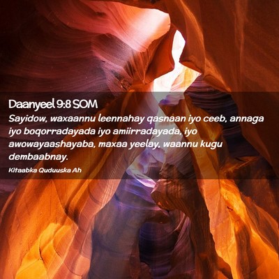 Picture 02 - Daanyeel 9:8 SOM - Sayidow, waxaannu leennahay qasnaan iyo ceeb, - Bible Verse Picture