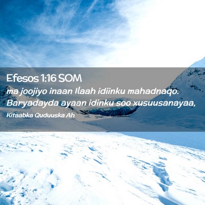Picture 02 - Efesos 1:16 SOM - ma joojiyo inaan Ilaah idiinku mahadnaqo. - Bible Verse Picture