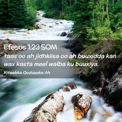 Picture 02 - Efesos 1:23 SOM - taas oo ah jidhkiisa oo ah buuxidda kan wax kasta - Bible Verse Picture