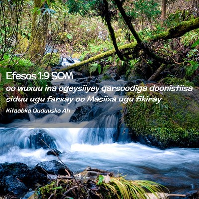 Picture 02 - Efesos 1:9 SOM - oo wuxuu ina ogeysiiyey qarsoodiga doonistiisa - Bible Verse Picture