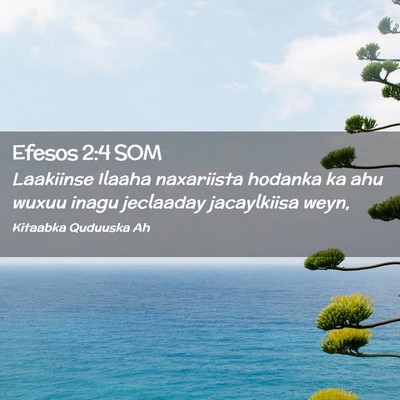 Picture 02 - Efesos 2:4 SOM - Laakiinse Ilaaha naxariista hodanka ka ahu wuxuu - Bible Verse Picture