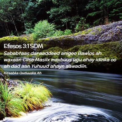 Picture 02 - Efesos 3:1 SOM - Sababtaas daraaddeed anigoo Bawlos ah waxaan - Bible Verse Picture