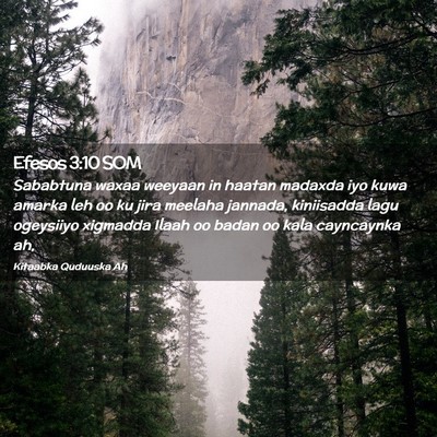 Picture 02 - Efesos 3:10 SOM - Sababtuna waxaa weeyaan in haatan madaxda iyo - Bible Verse Picture