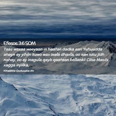 Picture 02 - Efesos 3:6 SOM - Taas waxaa weeyaan in haatan dadka aan Yuhuudda - Bible Verse Picture