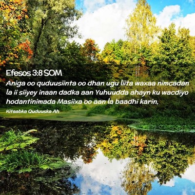 Picture 02 - Efesos 3:8 SOM - Aniga oo quduusiinta oo dhan ugu liita waxaa - Bible Verse Picture
