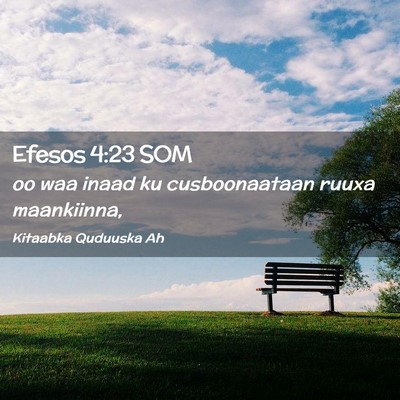 Picture 02 - Efesos 4:23 SOM - oo waa inaad ku cusboonaataan ruuxa - Bible Verse Picture