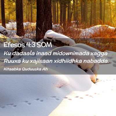 Picture 02 - Efesos 4:3 SOM - Ku dadaala inaad midownimada xagga Ruuxa ku - Bible Verse Picture