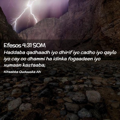 Picture 02 - Efesos 4:31 SOM - Haddaba qadhaadh iyo dhirif iyo cadho iyo qaylo - Bible Verse Picture