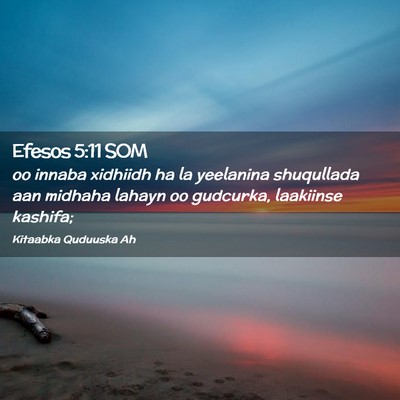Picture 02 - Efesos 5:11 SOM - oo innaba xidhiidh ha la yeelanina shuqullada aan - Bible Verse Picture