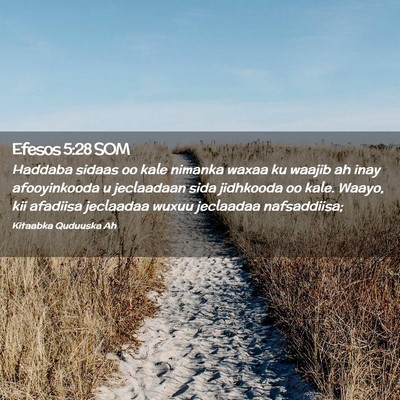 Picture 02 - Efesos 5:28 SOM - Haddaba sidaas oo kale nimanka waxaa ku waajib ah - Bible Verse Picture