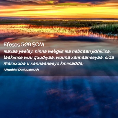 Picture 02 - Efesos 5:29 SOM - maxaa yeelay, ninna weligiis ma nebcaan - Bible Verse Picture