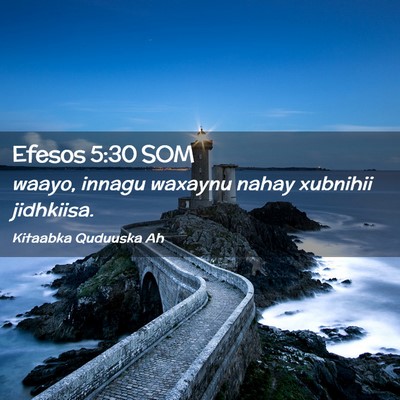 Picture 02 - Efesos 5:30 SOM - waayo, innagu waxaynu nahay xubnihii - Bible Verse Picture