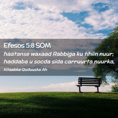 Picture 02 - Efesos 5:8 SOM - haatanse waxaad Rabbiga ku tihiin nuur; haddaba u - Bible Verse Picture