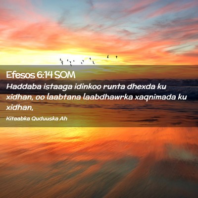 Picture 02 - Efesos 6:14 SOM - Haddaba istaaga idinkoo runta dhexda ku xidhan, - Bible Verse Picture