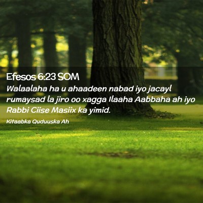 Picture 02 - Efesos 6:23 SOM - Walaalaha ha u ahaadeen nabad iyo jacayl rumaysad - Bible Verse Picture