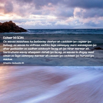 Picture 02 - Esteer 1:6 SOM - Oo waxaa meeshaas ka laalaaday daahyo ah caddaan - Bible Verse Picture