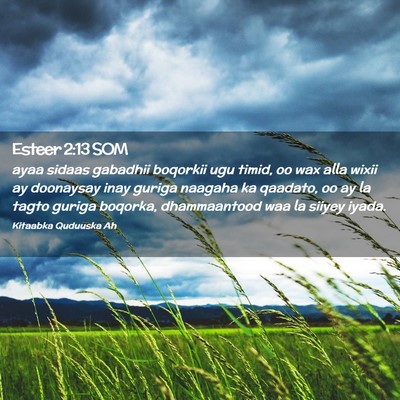 Picture 02 - Esteer 2:13 SOM - ayaa sidaas gabadhii boqorkii ugu timid, oo wax - Bible Verse Picture