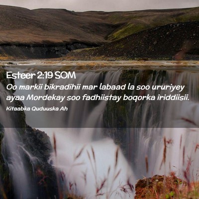 Picture 02 - Esteer 2:19 SOM - Oo markii bikradihii mar labaad la soo ururiyey - Bible Verse Picture
