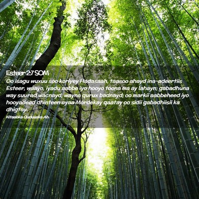Picture 02 - Esteer 2:7 SOM - Oo isagu wuxuu soo koriyey Hadasaah, taasoo ahayd - Bible Verse Picture