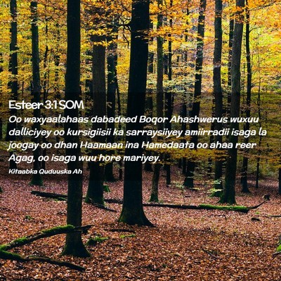 Picture 02 - Esteer 3:1 SOM - Oo waxyaalahaas dabadeed Boqor Ahashwerus wuxuu - Bible Verse Picture