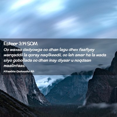 Picture 02 - Esteer 3:14 SOM - Oo waxaa dadyowga oo dhan lagu dhex faafiyey - Bible Verse Picture