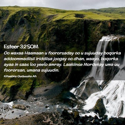 Picture 02 - Esteer 3:2 SOM - Oo waxaa Haamaan u foororsaday oo u sujuuday - Bible Verse Picture