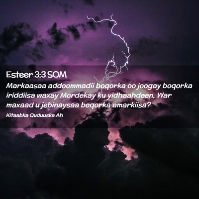 Picture 02 - Esteer 3:3 SOM - Markaasaa addoommadii boqorka oo joogay boqorka - Bible Verse Picture
