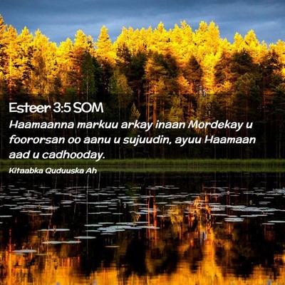 Picture 02 - Esteer 3:5 SOM - Haamaanna markuu arkay inaan Mordekay u foororsan - Bible Verse Picture