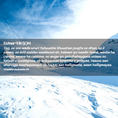 Picture 02 - Esteer 4:16 SOM - Tag, oo soo wada ururi Yuhuudda Shuushan joogta - Bible Verse Picture