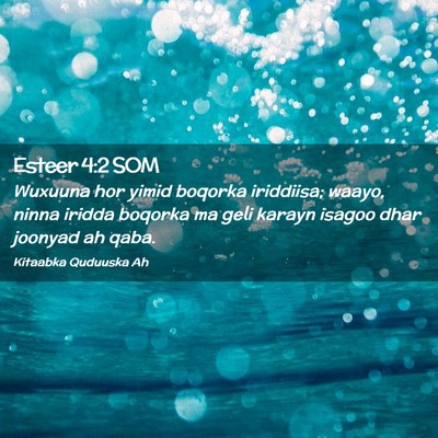 Picture 02 - Esteer 4:2 SOM - Wuxuuna hor yimid boqorka iriddiisa; waayo, ninna - Bible Verse Picture