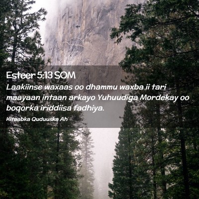 Picture 02 - Esteer 5:13 SOM - Laakiinse waxaas oo dhammu waxba ii tari maayaan - Bible Verse Picture