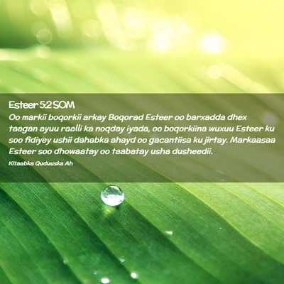 Picture 02 - Esteer 5:2 SOM - Oo markii boqorkii arkay Boqorad Esteer oo - Bible Verse Picture