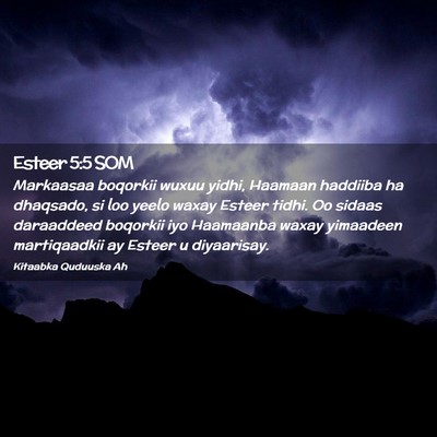 Picture 02 - Esteer 5:5 SOM - Markaasaa boqorkii wuxuu yidhi, Haamaan haddiiba - Bible Verse Picture