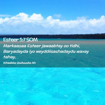 Picture 02 - Esteer 5:7 SOM - Markaasaa Esteer jawaabtay oo tidhi, Baryadayda - Bible Verse Picture