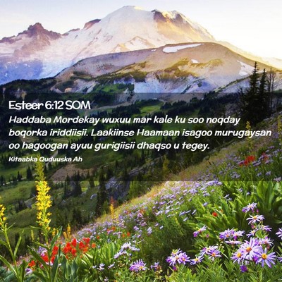 Picture 02 - Esteer 6:12 SOM - Haddaba Mordekay wuxuu mar kale ku soo noqday - Bible Verse Picture