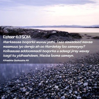 Picture 02 - Esteer 6:3 SOM - Markaasaa boqorkii wuxuu yidhi, Taas aawadeed - Bible Verse Picture