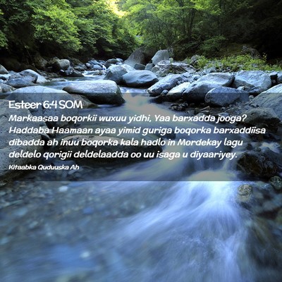 Picture 02 - Esteer 6:4 SOM - Markaasaa boqorkii wuxuu yidhi, Yaa barxadda - Bible Verse Picture