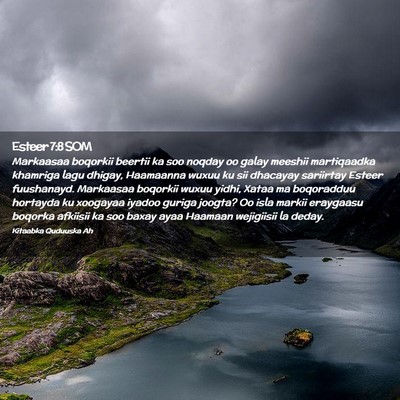 Picture 02 - Esteer 7:8 SOM - Markaasaa boqorkii beertii ka soo noqday oo galay - Bible Verse Picture