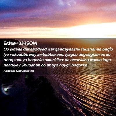 Picture 02 - Esteer 8:14 SOM - Oo sidaas daraaddeed warqaadayaashii fuushanaa - Bible Verse Picture