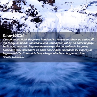 Picture 02 - Esteer 8:5 SOM - Oo kolkaasay tidhi, Boqorow, haddaad ku faraxsan - Bible Verse Picture