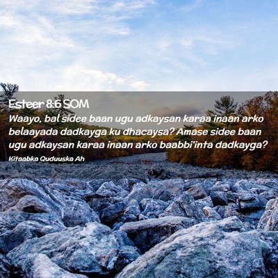 Picture 02 - Esteer 8:6 SOM - Waayo, bal sidee baan ugu adkaysan karaa inaan - Bible Verse Picture