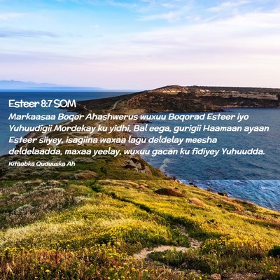 Picture 02 - Esteer 8:7 SOM - Markaasaa Boqor Ahashwerus wuxuu Boqorad Esteer - Bible Verse Picture