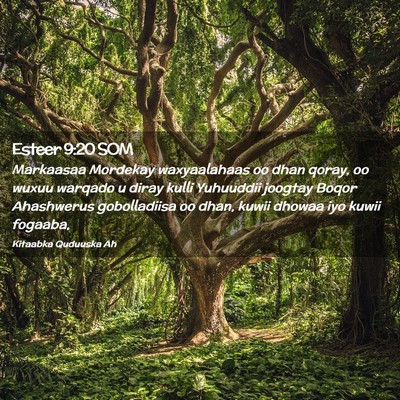 Picture 02 - Esteer 9:20 SOM - Markaasaa Mordekay waxyaalahaas oo dhan qoray, oo - Bible Verse Picture